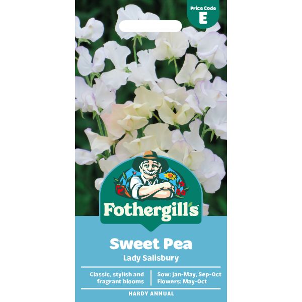 Sweet Pea Lady Salisbury Seeds