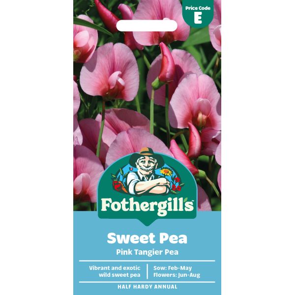Sweet Pea Pink Tangier Pea Seeds