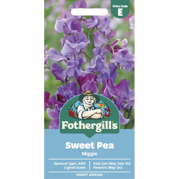 Sweet Pea Suffolk Punch Miggie Flower Seeds