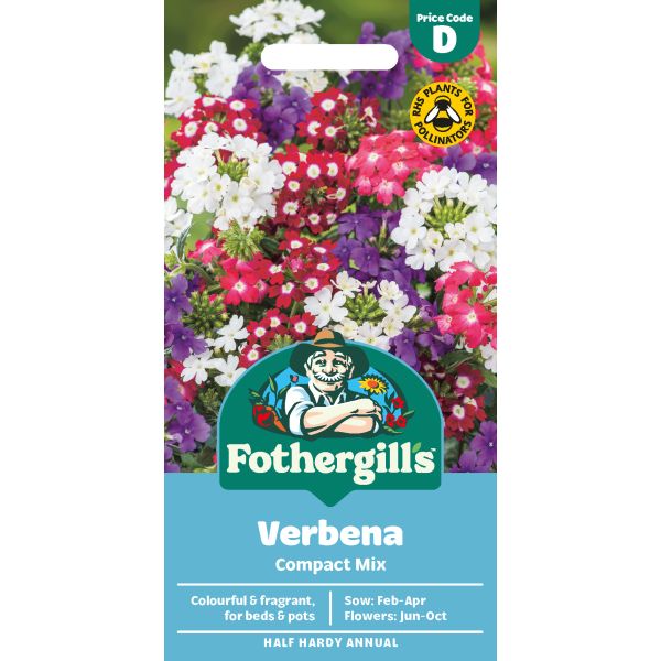 Verbena Compact Mixed Seeds