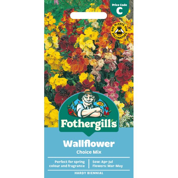 Wallflower Choice Mixed Seeds