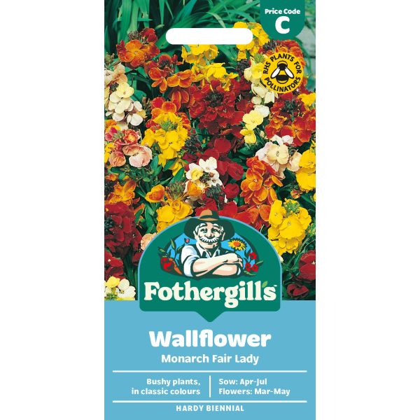 Wallflower Monarch Fair Lady Mix