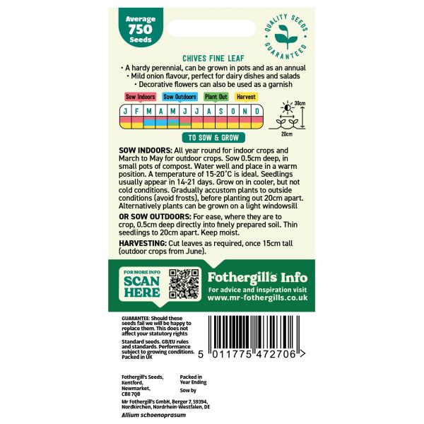 Chive Seeds