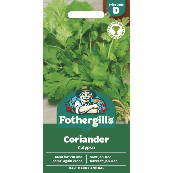 Coriander Calypso Seeds