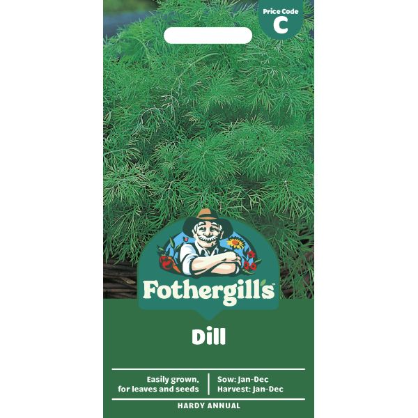 Dill Seeds