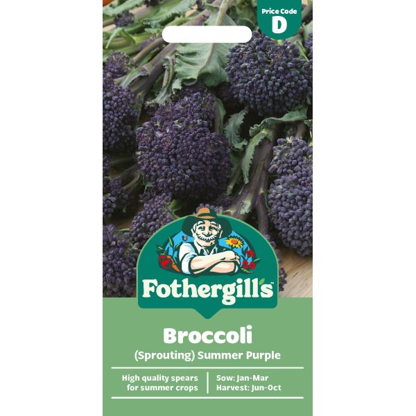 Broccoli (Sprouting) Summer Purple Seeds