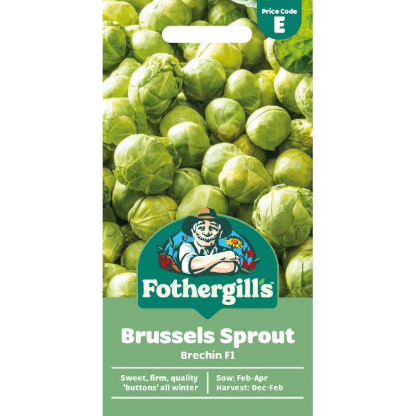 Brussels Sprout Brechin F1 Seeds