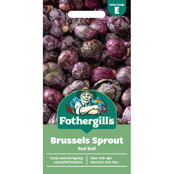 Brussels Sprout Red Bull Seeds