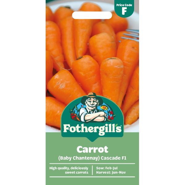 Carrot Cascade F1 Seeds