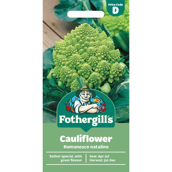 Cauliflower (Broccoli) Romanesco Natalino Seeds
