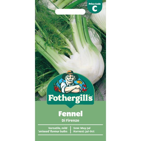 Fennel di Firenze Seeds