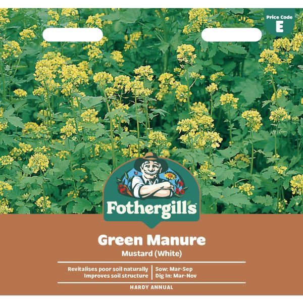 Green Manure Mustard Seeds