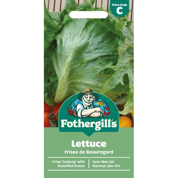 Lettuce Frisee de Beauregard Seeds