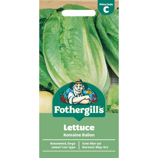 Lettuce Romaine Ballon Seeds