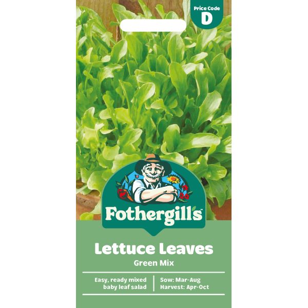 Lettuce Leaves Green Mix Seeds