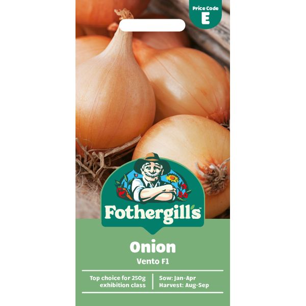 Onion Vento F1 Seeds