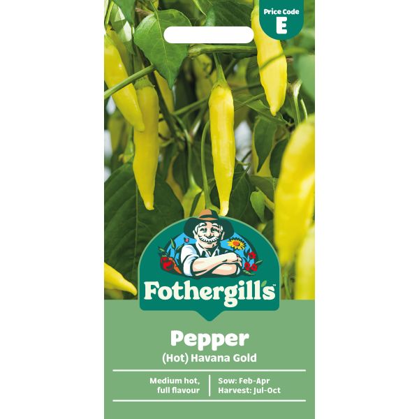 Pepper (Hot) Havana Gold