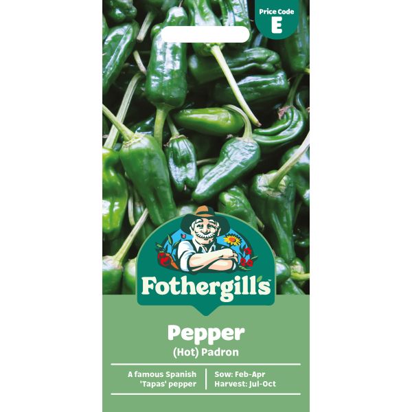 Chilli Pepper Padron Seeds
