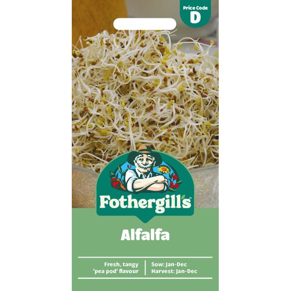 Alfalfa Seeds