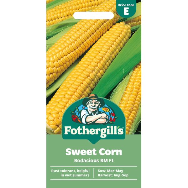 Fothergills sweet corn seed packet with corn illustrations on a white background