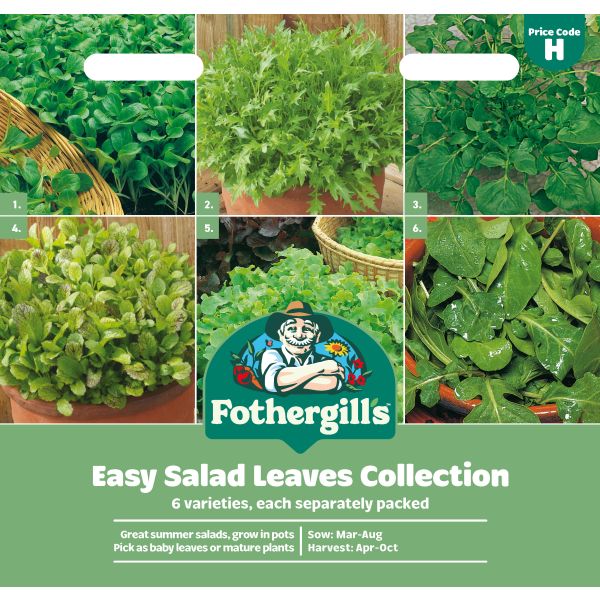Seed Collection Salad Leaves Easy