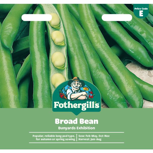 Broad Bean Bunyards Exhibition Seeds