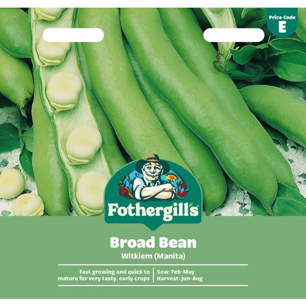 Fothergills broad bean seed packet with green beans on a white background