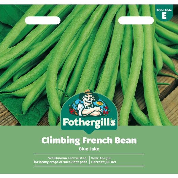 Climbing Bean Blue Lake Seeds