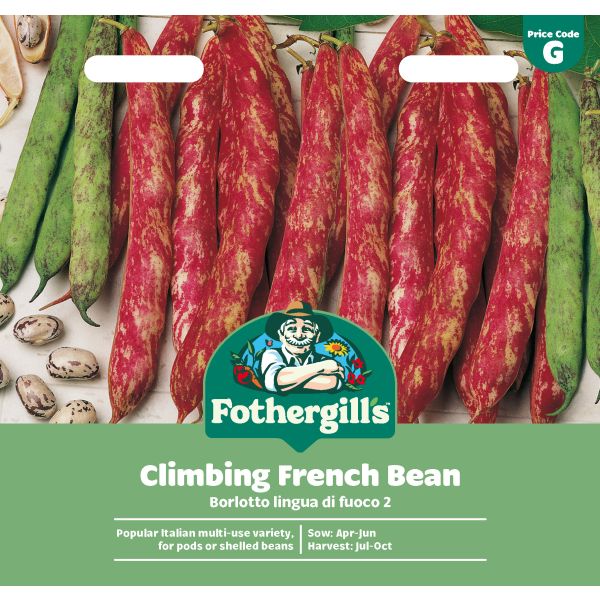 Climbing Bean Borlotto lingua di fuoco 2 Seeds