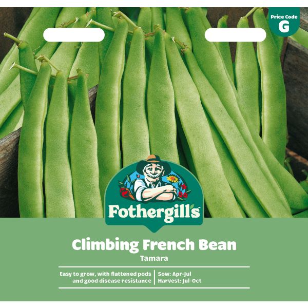 Climbing French Bean Tamara Seeds