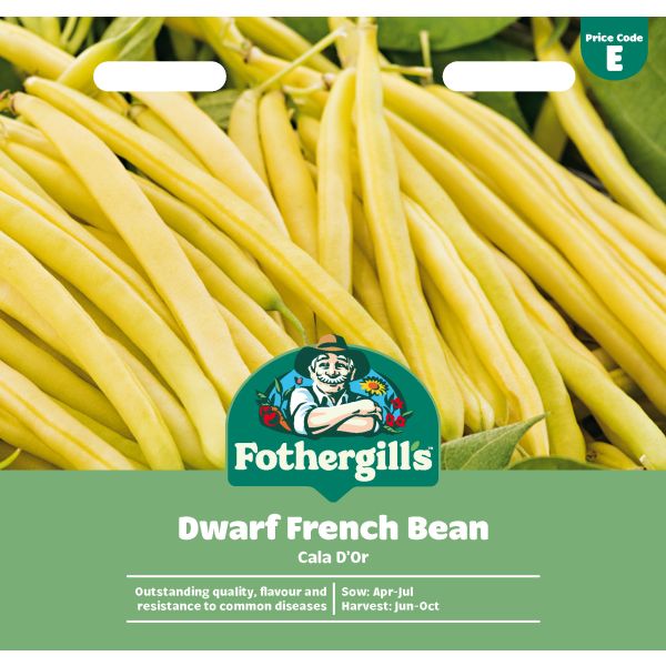 Dwarf (French) Bean Cala D'Or