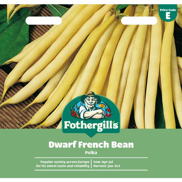 Dwarf Bean Polka Seeds