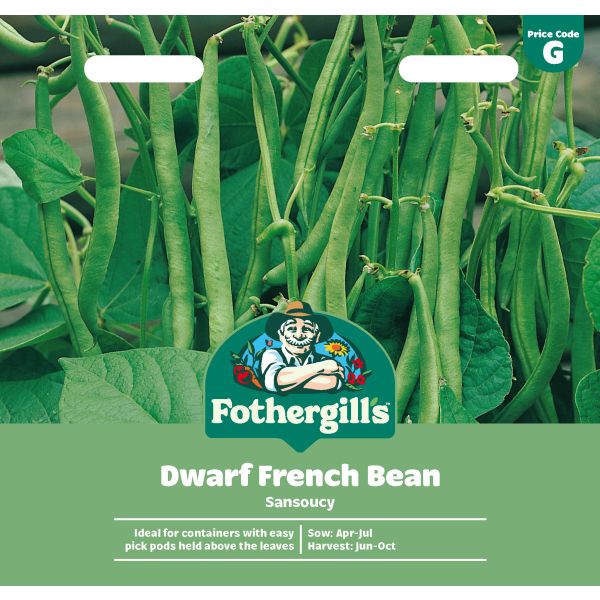 Dwarf French Bean Sansoucy Seeds