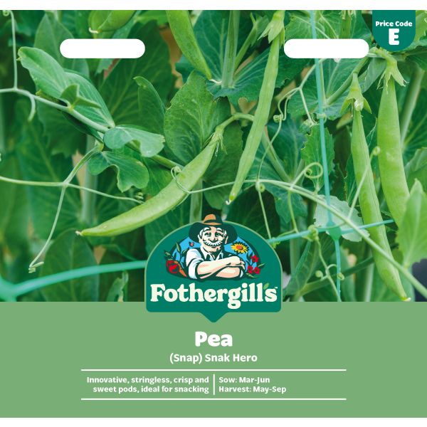 Pea (Snap) Snak Hero Seeds