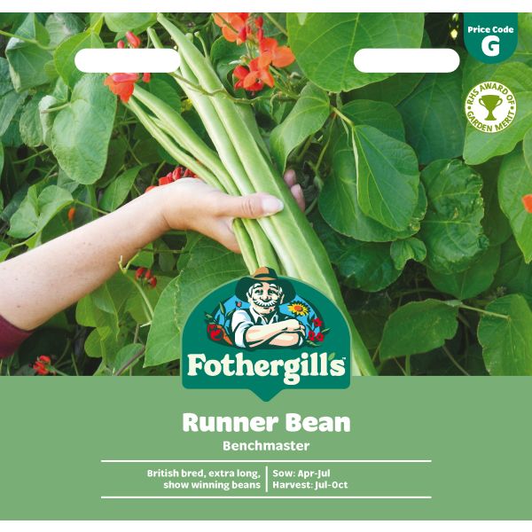 Runner Bean Benchmaster Seeds