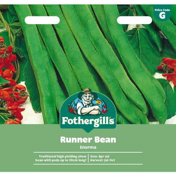 Runner Bean Enorma Seeds