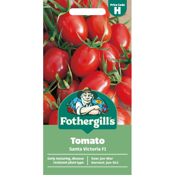 Tomato Santa Victoria F1 Seeds