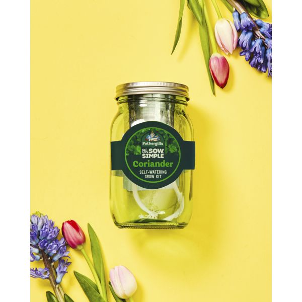 Jar labeled 'Sow Simple' with flowers on a yellow background