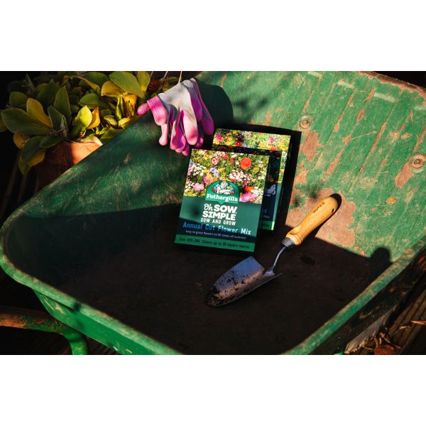 Annual Cut Flower Seed Mix