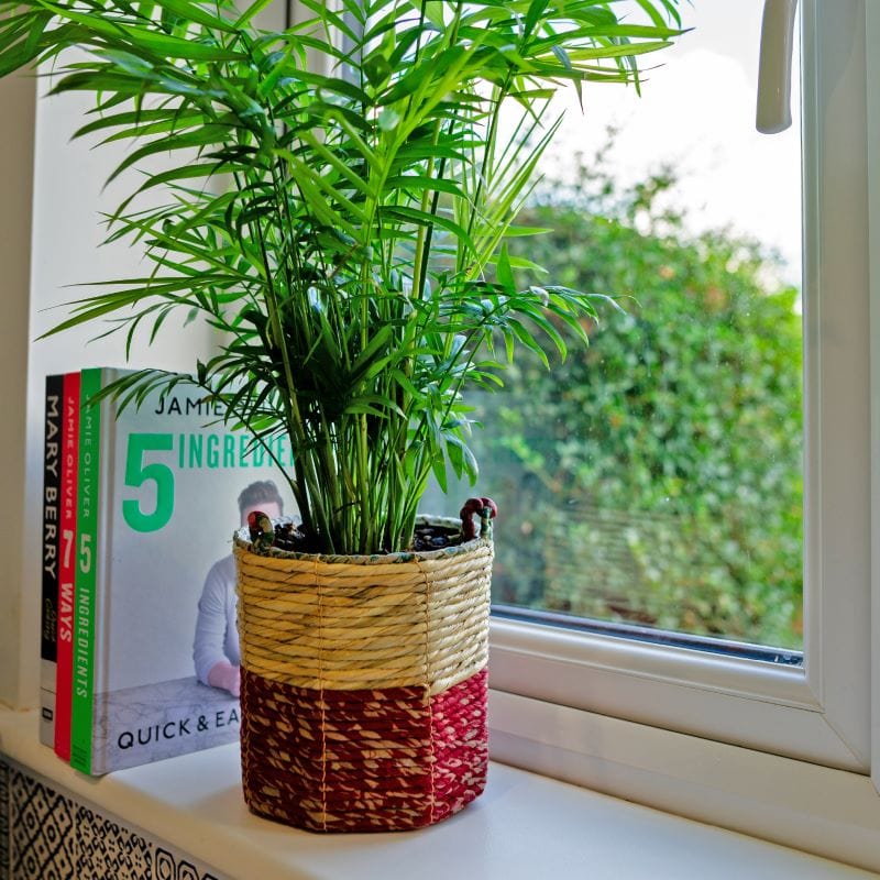 Artisan Hanging  Basket - Medium Cylinder Planter