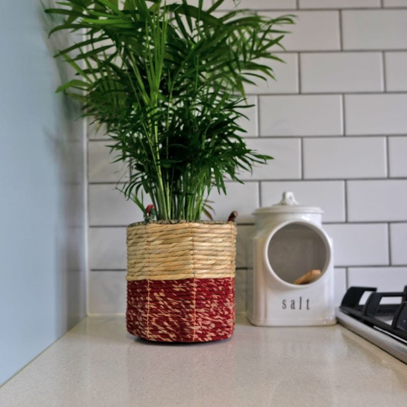 Artisan Hanging Basket - Small Cylinder Planter