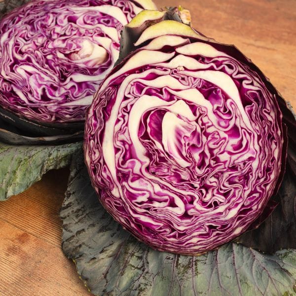 Autumn Harvest Brassica Collection