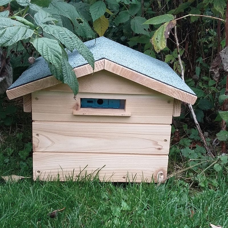 Beepol Villa & Bumblebee Hive