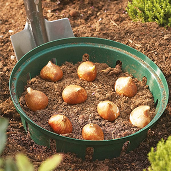 Bulb Planting Baskets pack of 3 round 26cm