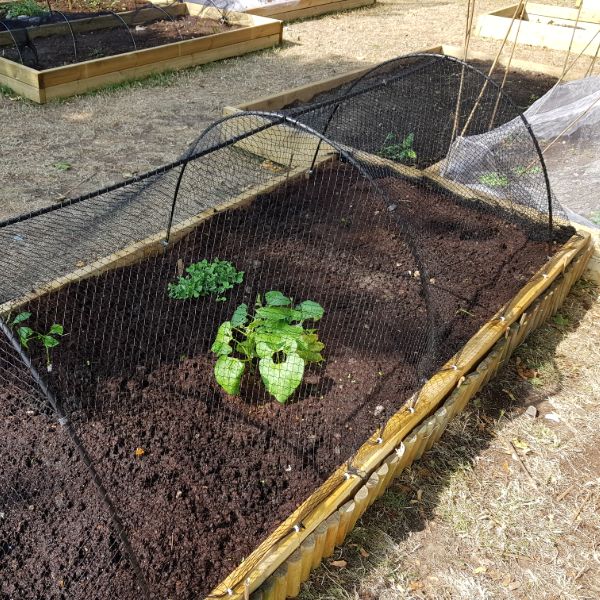 Bird Plant Protection Netting