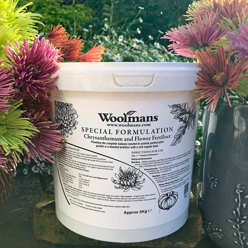 Chrysanthemum and Flower Fertiliser