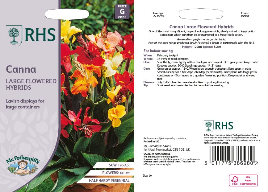 Canna Indica Large Flowered Hybrids Flower Seeds