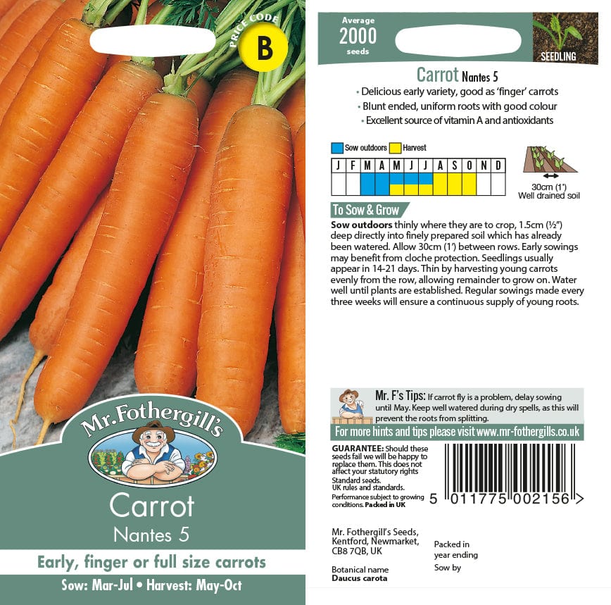 2000 Seeds Carrot Nantes 5