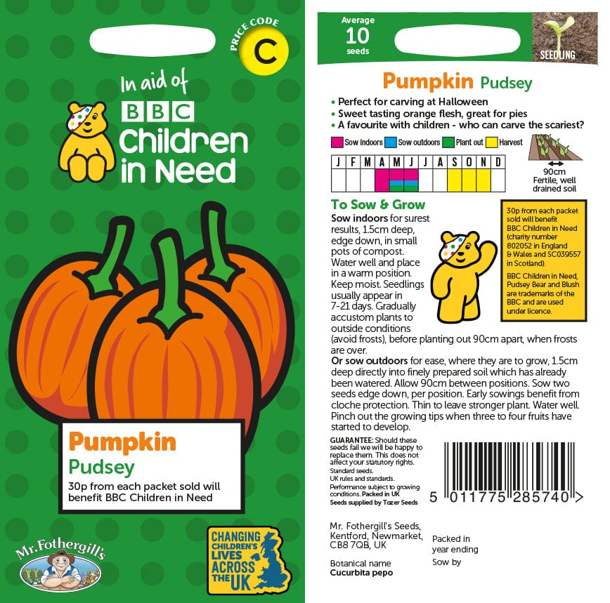 Children in Need Pumpkin Pudsey Seeds
