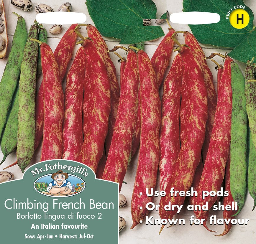 Climbing Bean Borlotto lingua di fuoco 2 Seeds